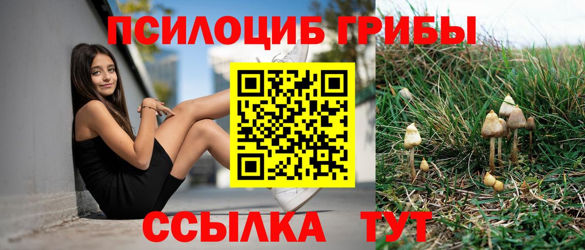 Карпинск  Псилоцибиновые грибы мицелий  купить наркотик  Вход с VPN  Галлюциногенные грибы мицелий 